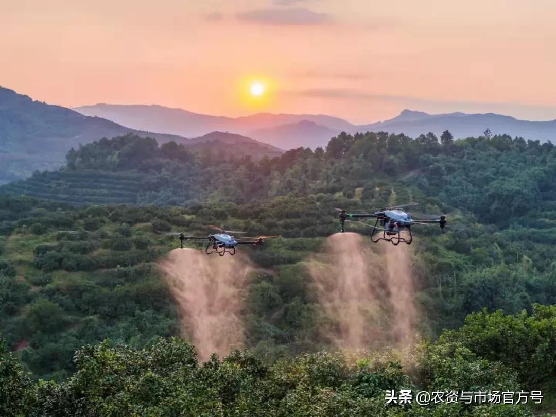 果树发展趋势和前景,我国果树的发展现状及趋势