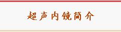 镜界“二郎神”——超声内镜知识科普