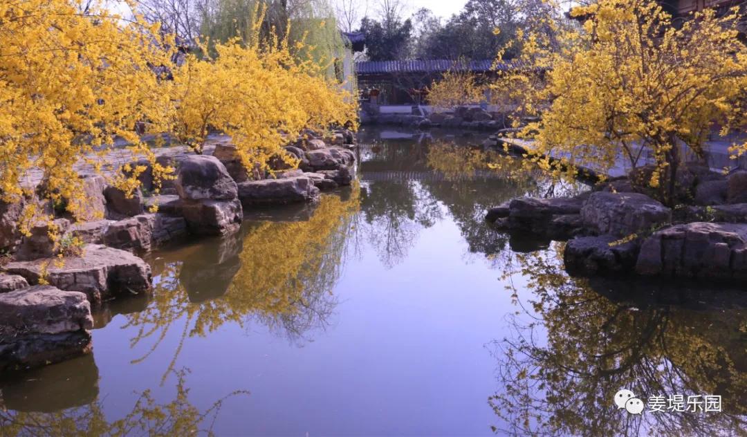 春天踏春去哪里好玩,又是一年春来到歌曲原唱视频