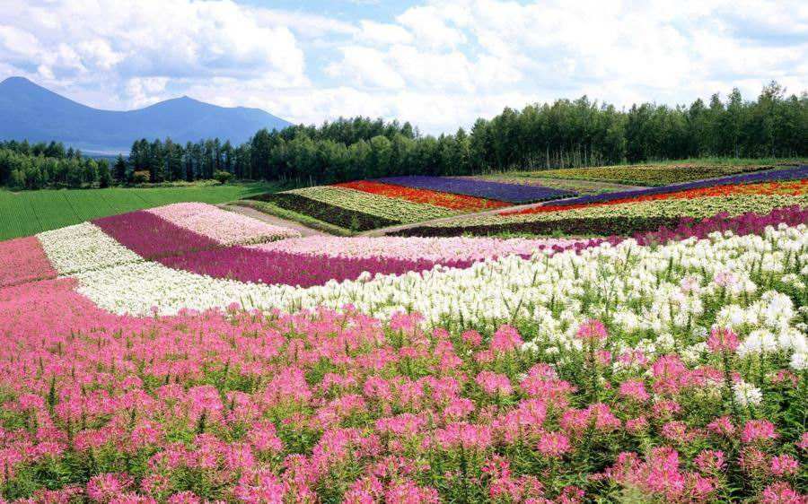 普通人怎么样才能读得懂易经,为什么要读周易