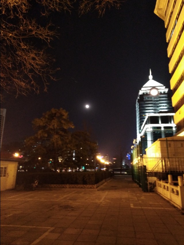 月夜漫步图片,月夜漫步完整版