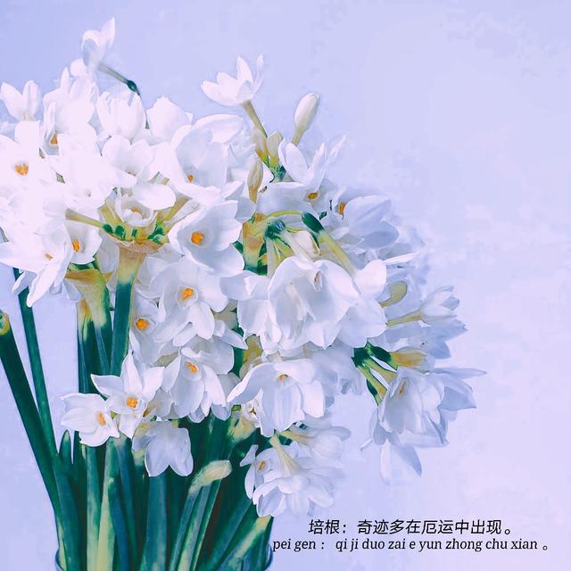 喜欢,请输入自己