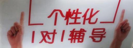 一对一私教住家老师好吗,私教30万住家家教