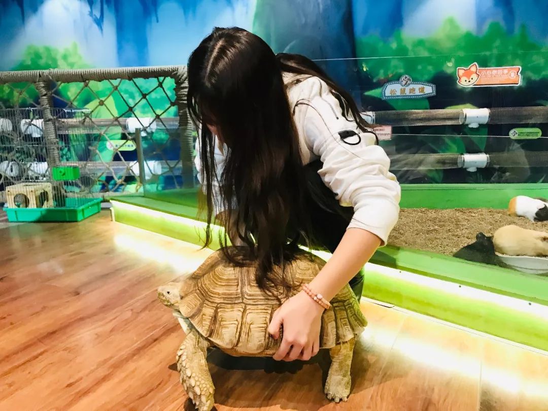 亲子必打卡动物园,动物园观赏园萌宠乐园等你打卡