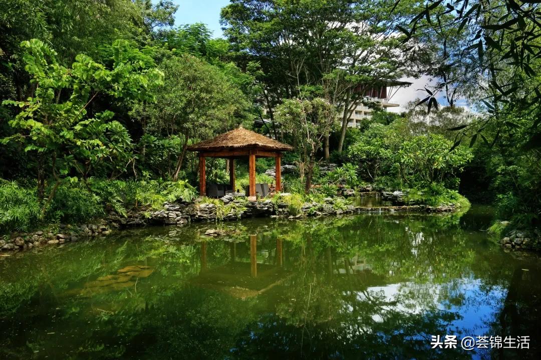 星爷同款电动大床,星爷同款床