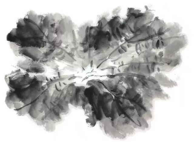 白描荷花的画法图片,如何画荷花国画白描