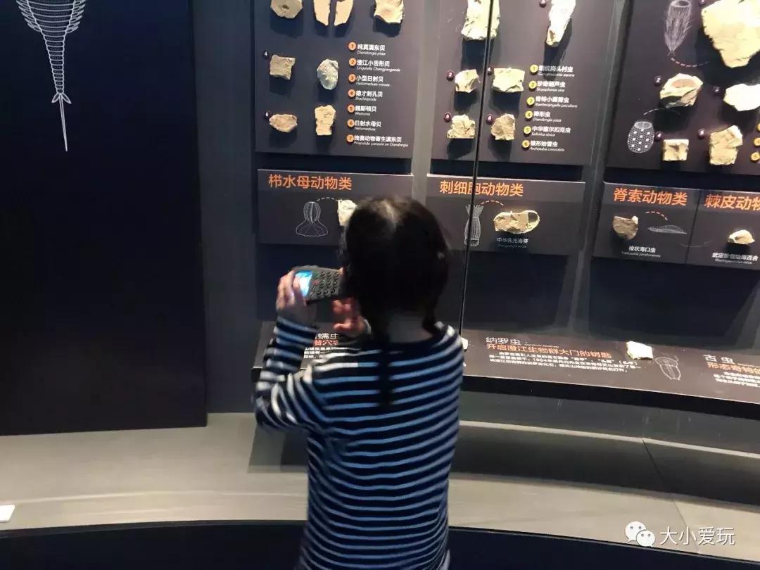 开放首日实探国家海洋博物馆，史上最抢手博物馆究竟长什么样