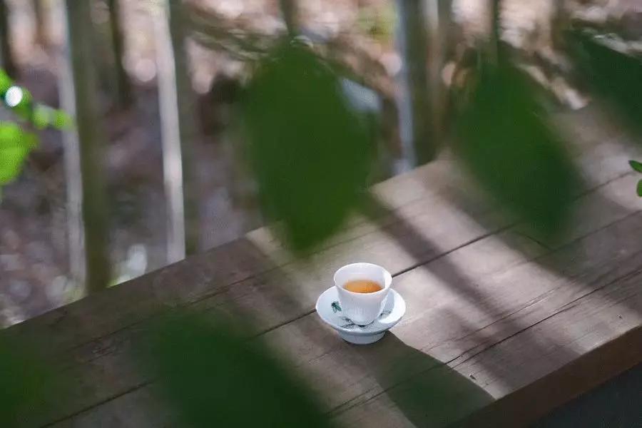 人生警句南怀瑾,人生最高境界四句话南怀瑾