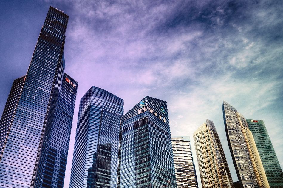 萨摩耶护理推荐用品有哪些,萨摩耶保险值得买吗