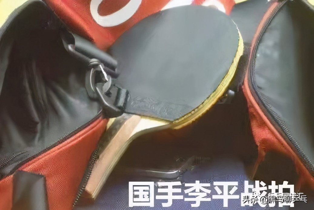 每周乒乓球观察,每周乒乓球观察视频