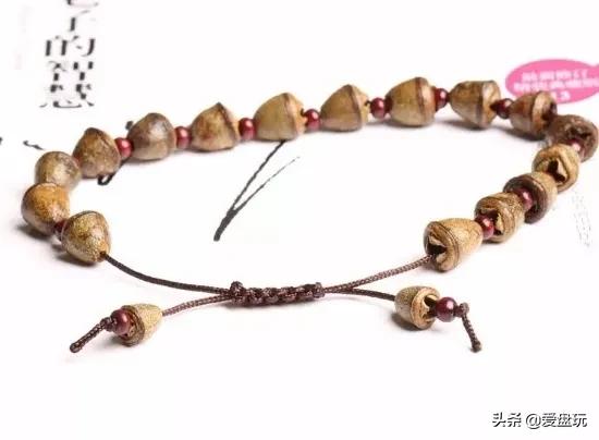 这张菩提子家谱，囊括30种，很少能有人认全