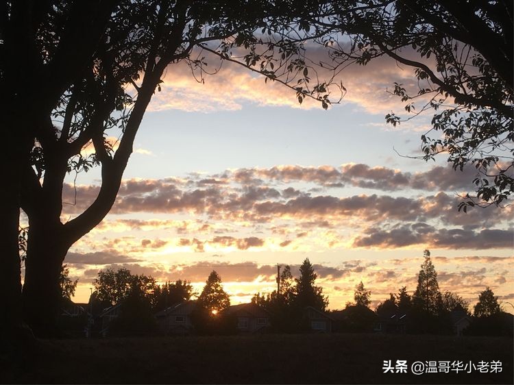 加拿大_WestRichmond西列治文社区夏秋