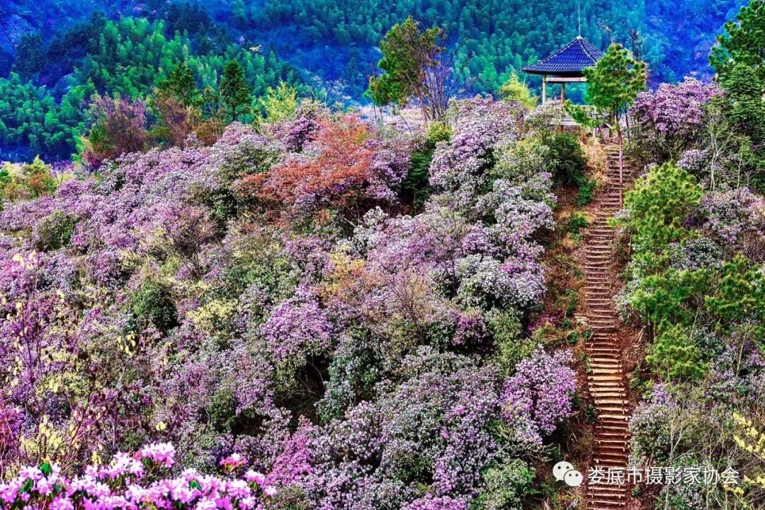 最新风景摄影小品欣赏,娄底景观小品