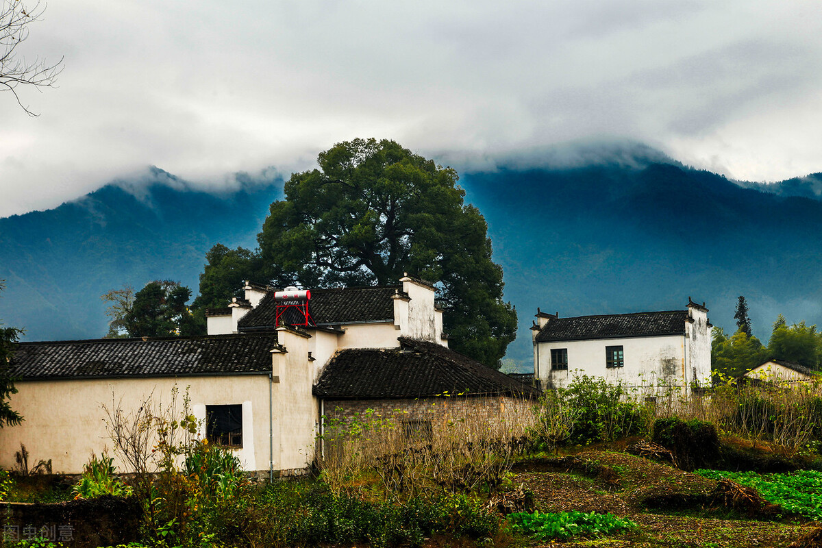 散文朗诵乡愁视频,散文乌镇