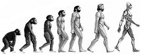 关于人类的进化过程,关于人类以后的进化