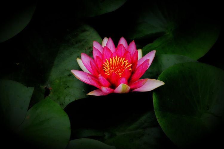 绿意绕绕一路行