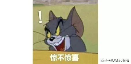 猫咪猜杯子游戏第三关 (猫咪口杯猜球游戏)