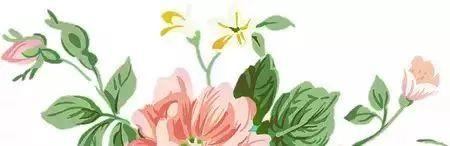 瀹垮悏鍗楁秷闃茬洿鎾,瀹垮悏鍗楀湪鍝釜app鏁欏