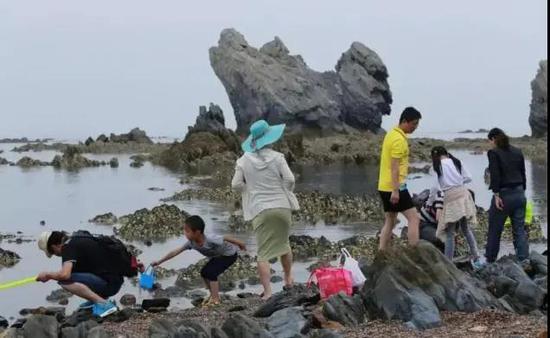 春季金石滩旅游,五一金滩旅游攻略