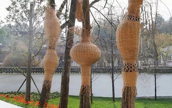 九莲小学怎么样,九莲小学