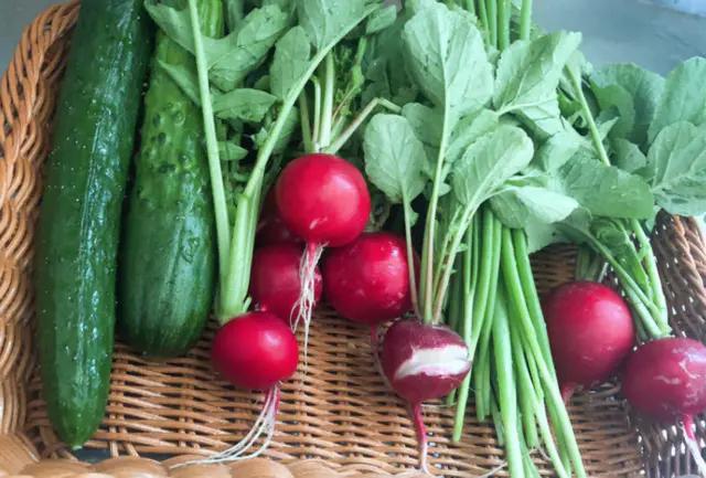 应季水果蔬菜时间表官方,一年四季的应季水果蔬菜有哪些呢