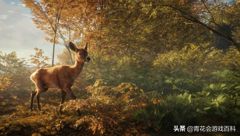 游戏活动主题策划方案,互动性强的传统游戏活动策划