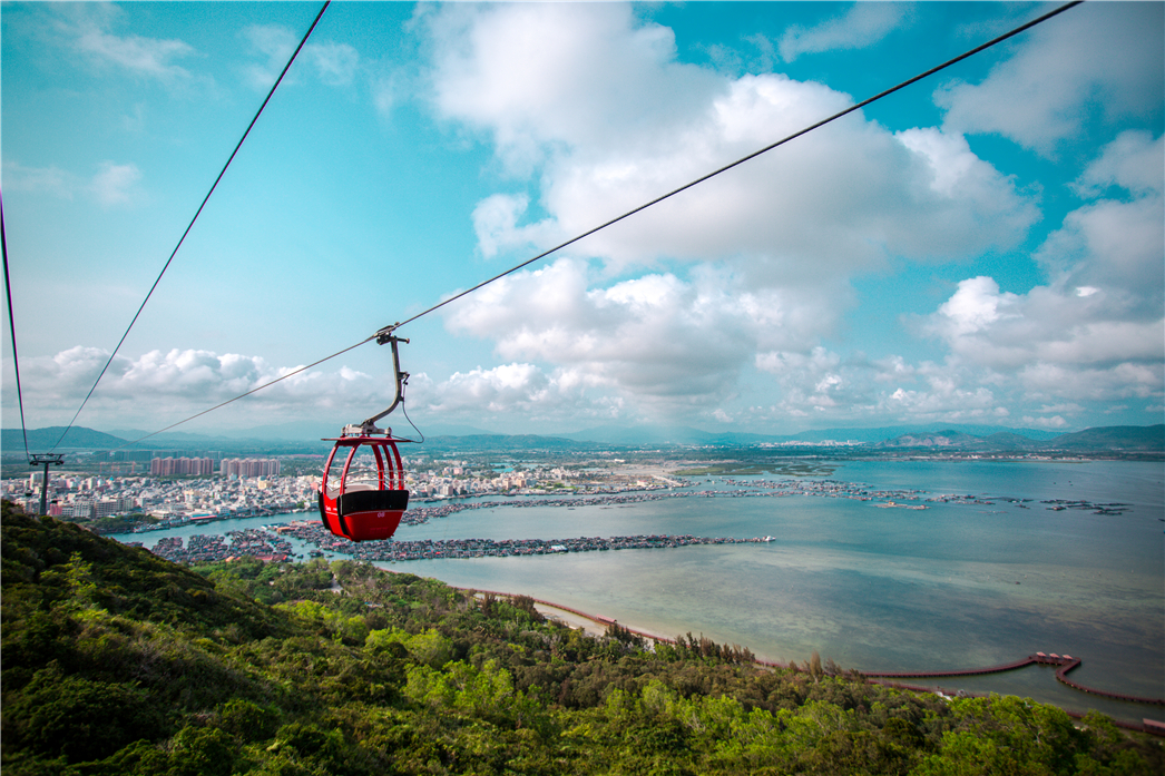 海南必玩猴岛与呆呆丨看萌呆猕猴，呆呆岛发呆