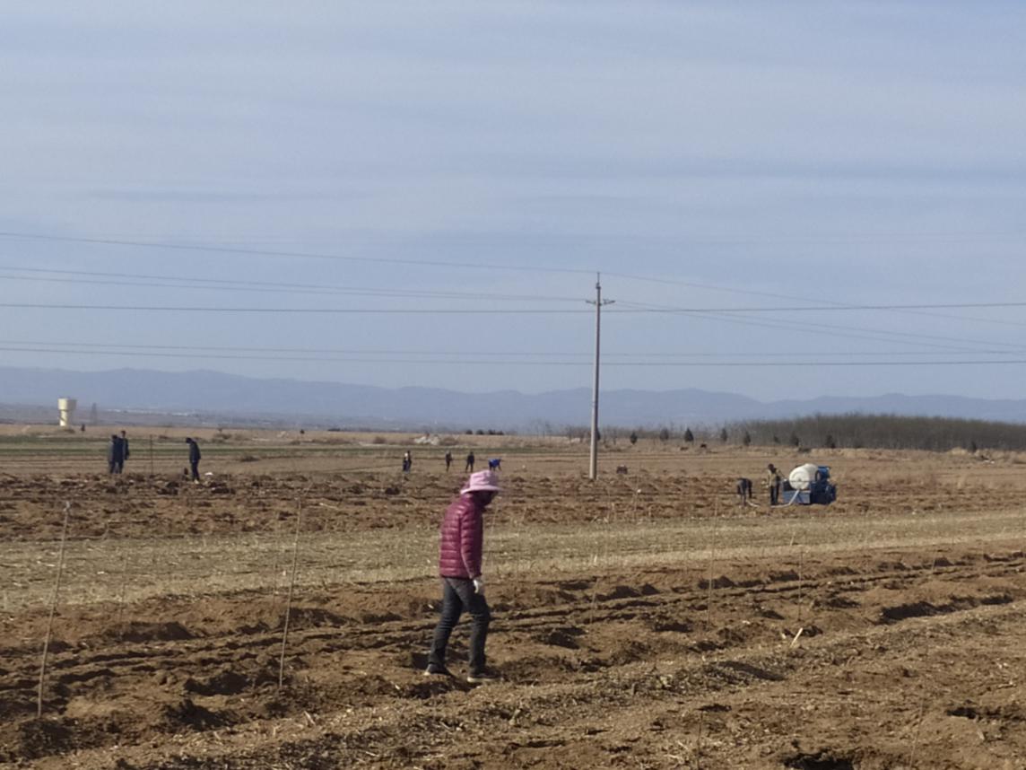 致敬坚守战疫一线的社区工作者,致敬乡村防控疫情值守员