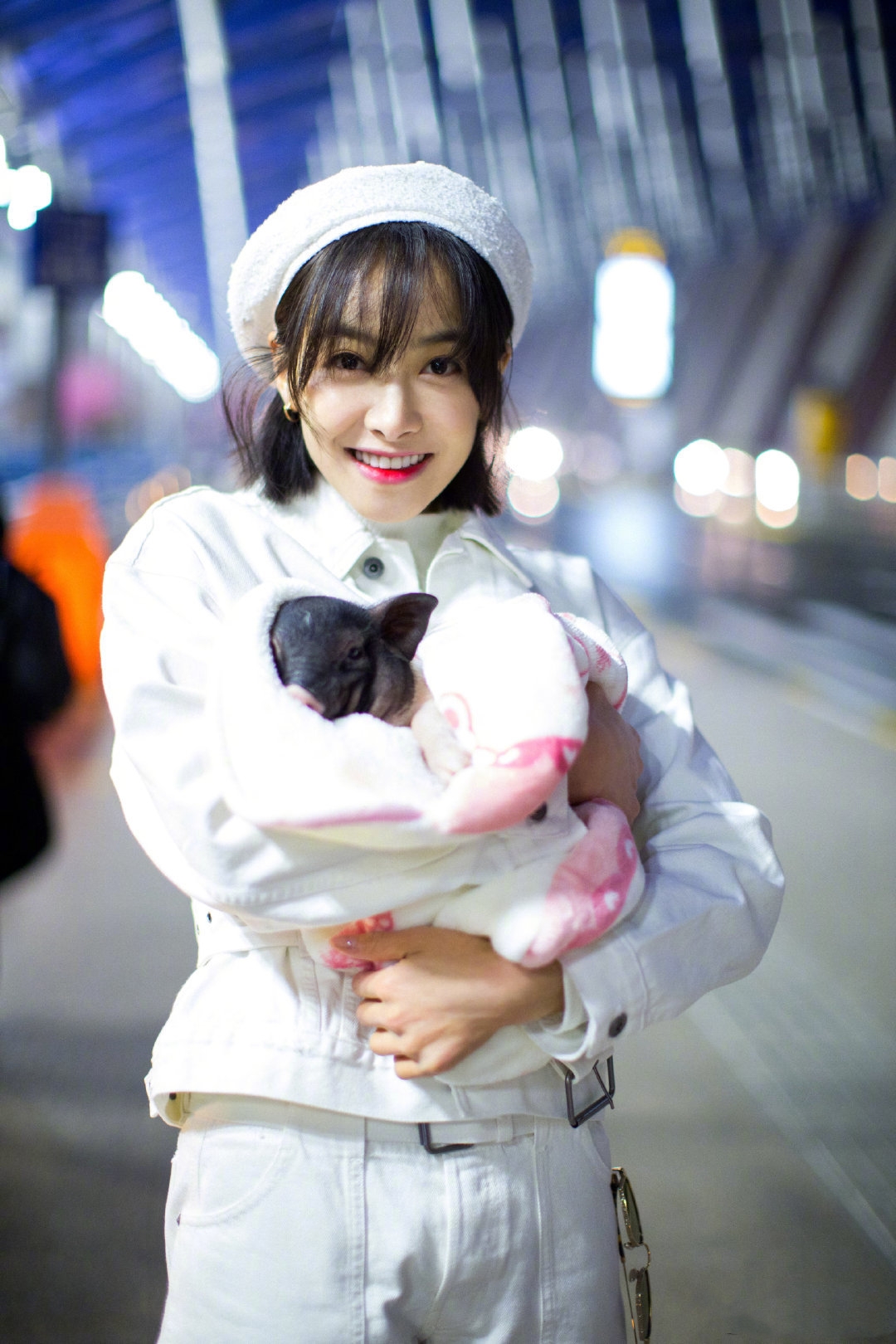 狗生巅峰!陈伟霆家狗狗被抱着睡住湖景豪宅,宋茜家宠物猪更时髦