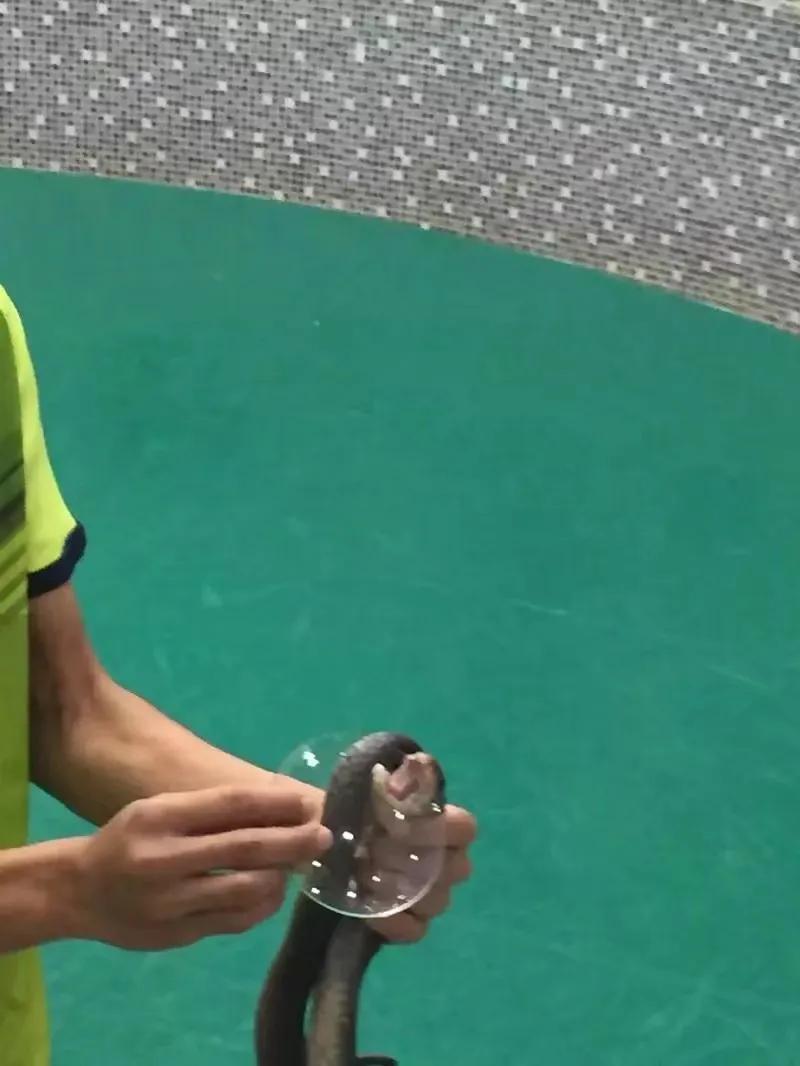 来普吉岛后感觉好难受,普吉岛最后一天购物