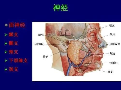 颧弓手术危害,颧骨颧弓手术有后遗症吗