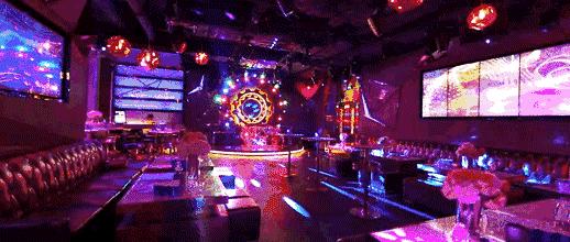 炸裂！因为一只猫，苏州人开启尖叫模式！