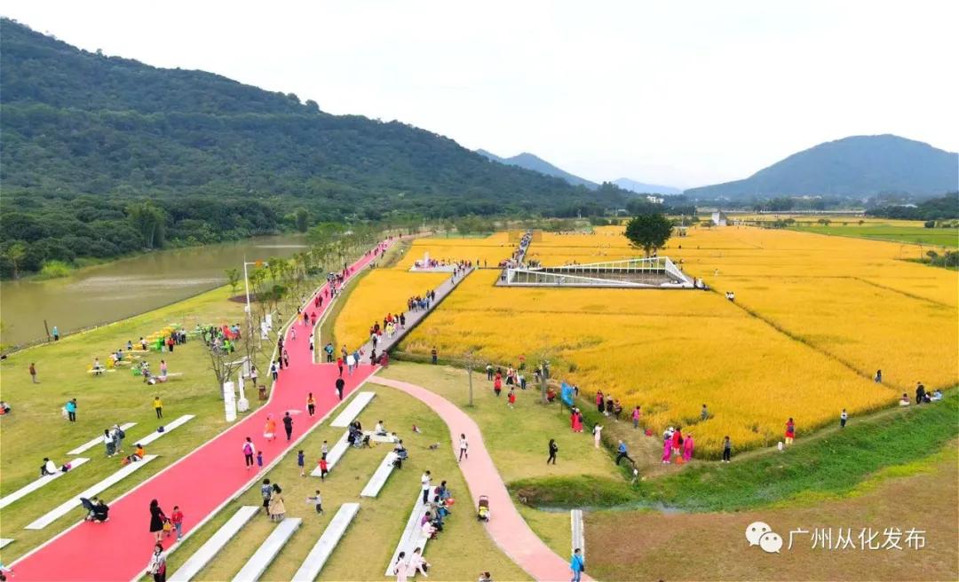 全国群众登山健身大会广州,2022全国登高健身大会