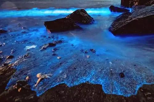 立秋，立秋！这43件事，上海人必须要去做