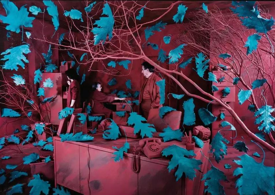 桑迪斯科格兰德,桑迪斯格兰德