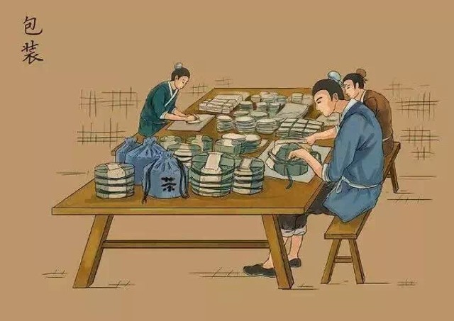 关于普洱生茶和熟茶的知识点,普洱生茶和熟茶到底区别在哪里