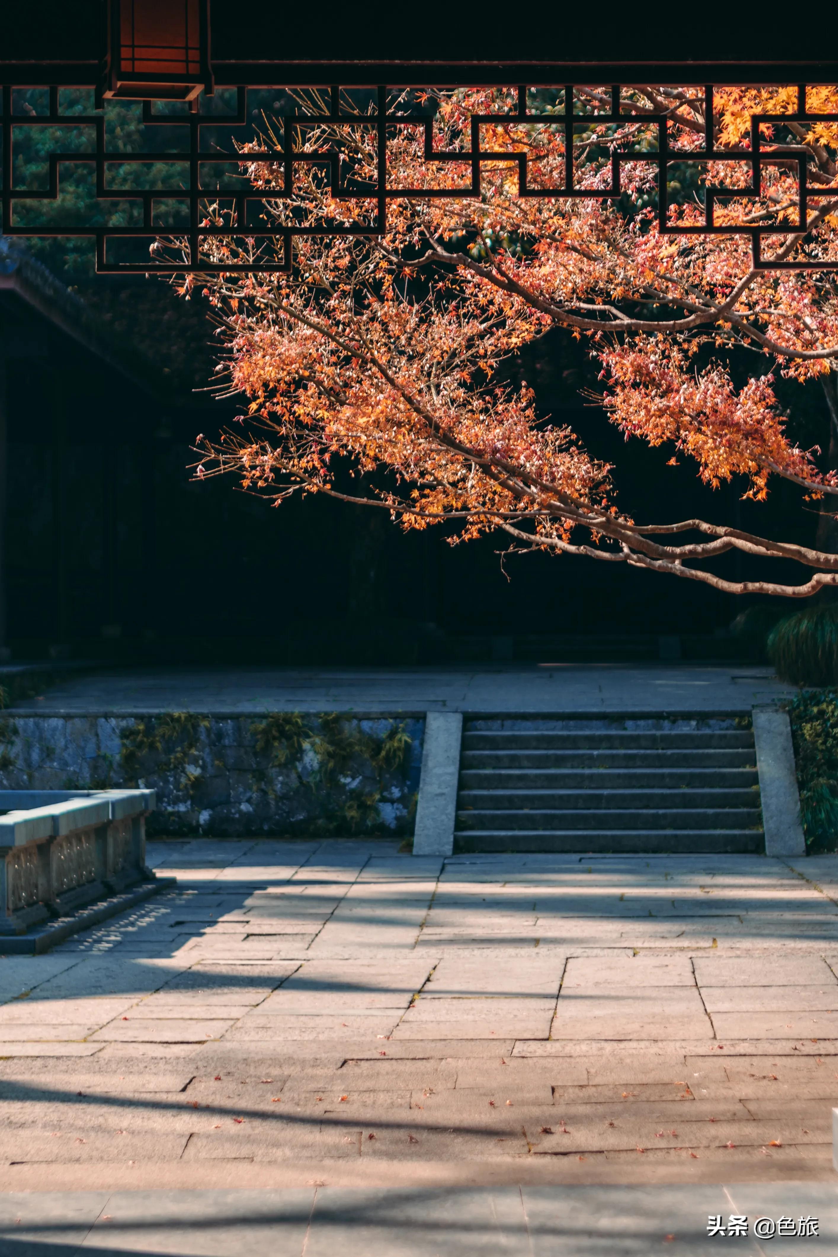 逆水寒游历虎跑梦泉怎么出葫芦,杭州游玩虎跑泉
