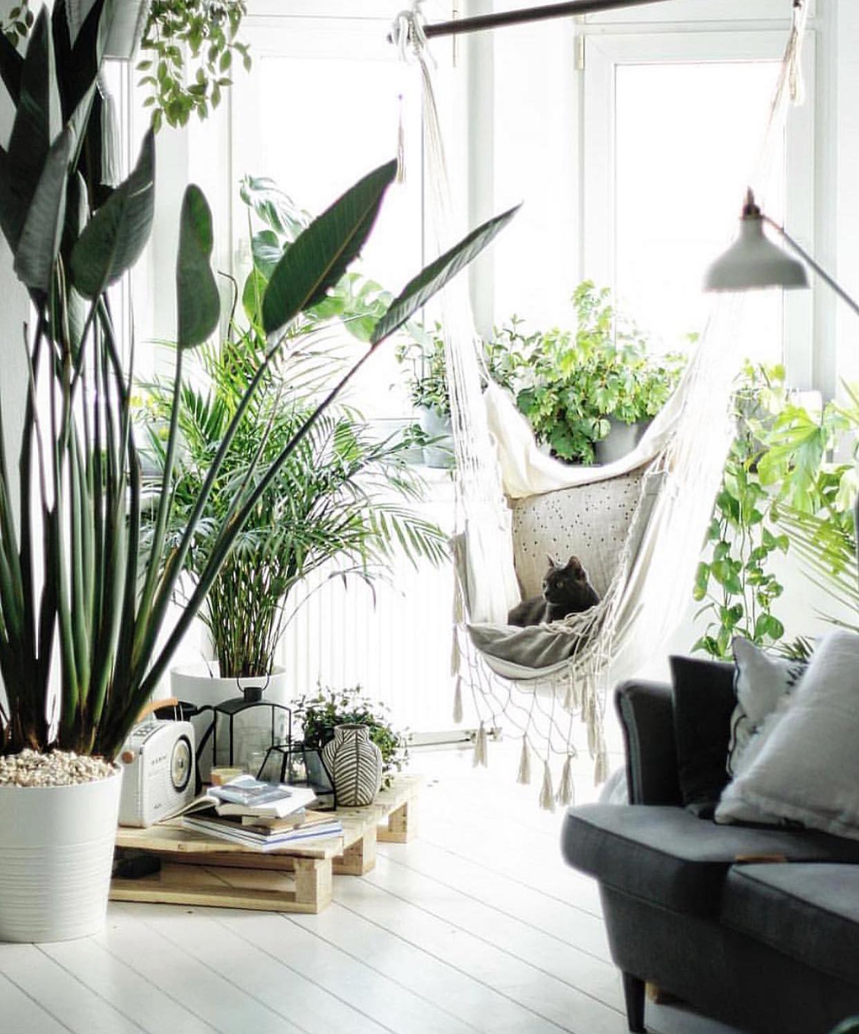 韩雪明星推荐好物,韩雪好物