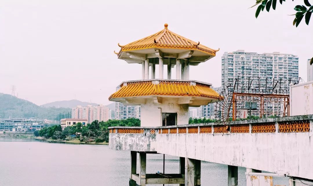 香蜜湖长廊,深圳市香蜜湖