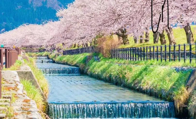 天道中丁元英为什么给刘冰一根烟,天道丁元英为啥要给刘冰白纸