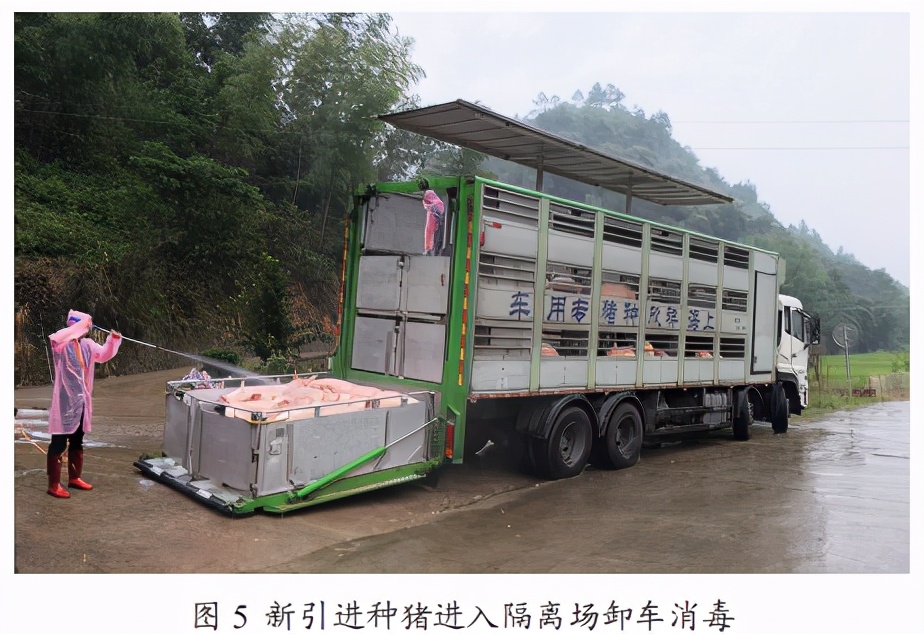 用优秀的公猪及精液产品为养殖者服务