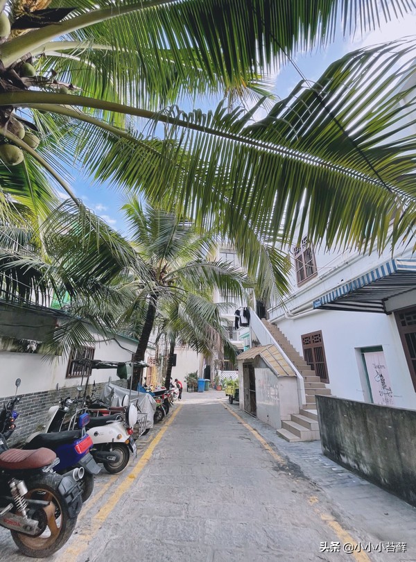 三亚吃住行,三亚自由行海边住宿攻略