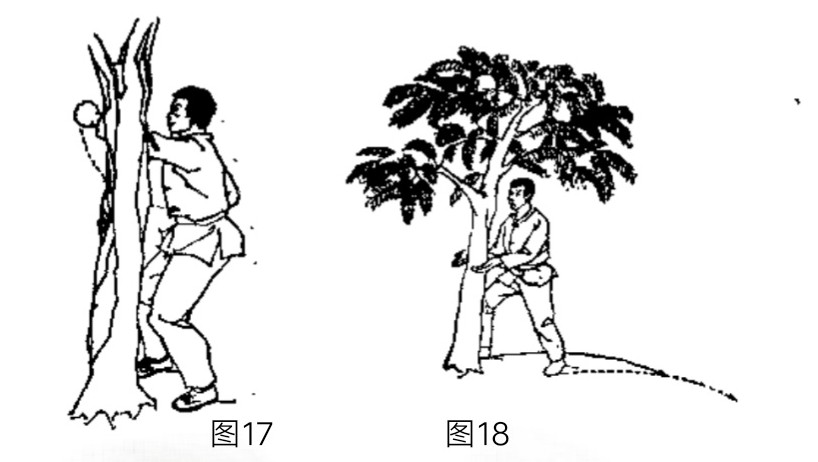 南少林镇寺绝技,南少林寺禅武学校训练