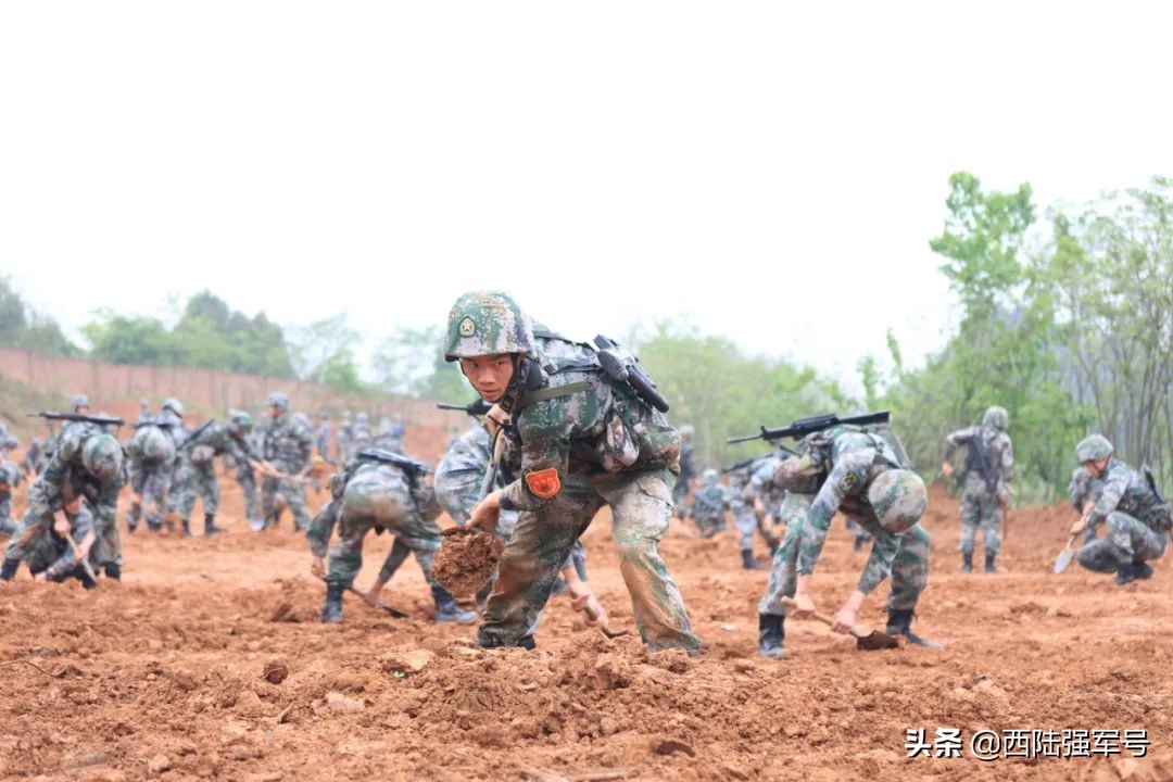 定向士官几次考核,定向士官多久进行一次体能考核
