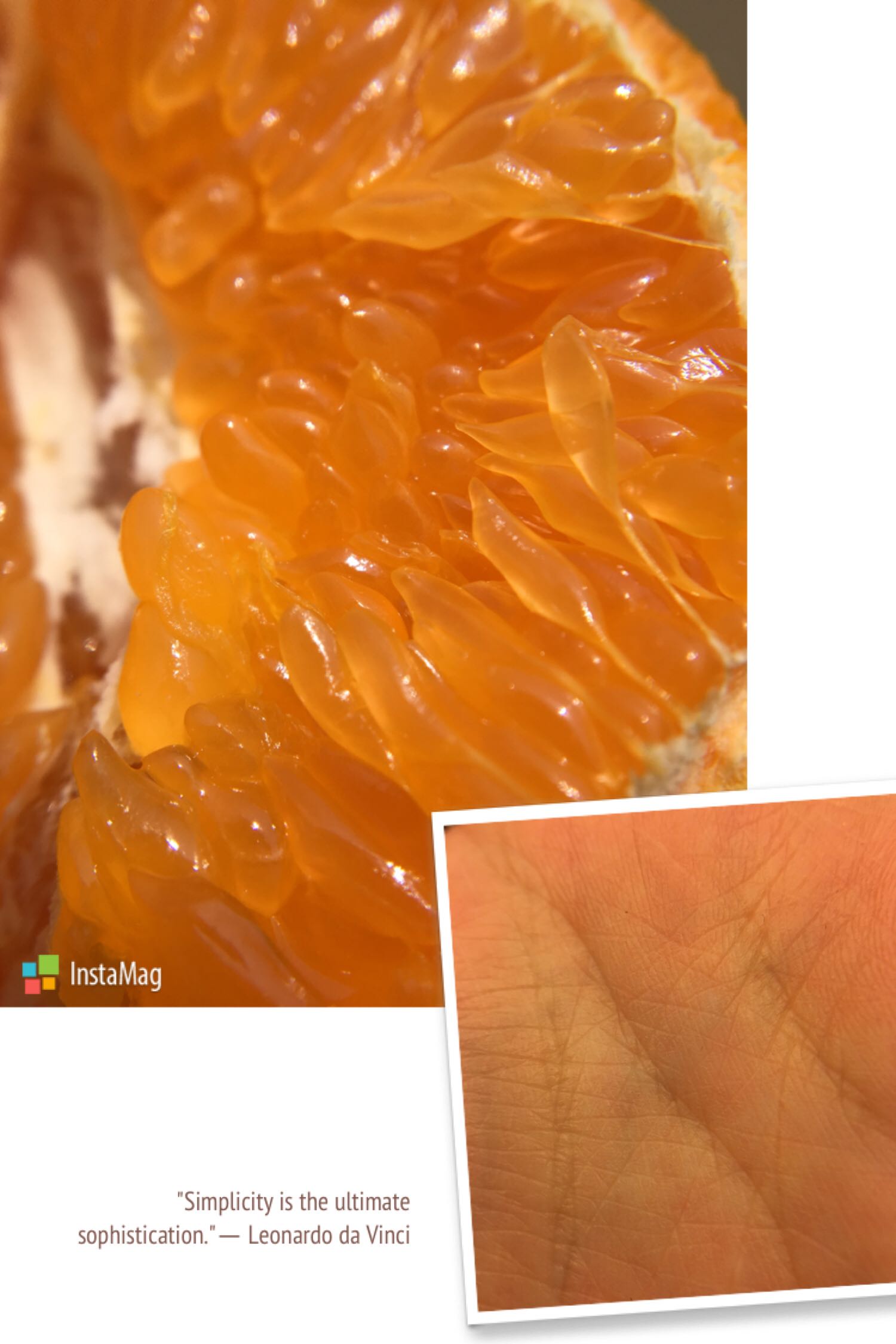 手机通用自拍杆怎么样使用,多功能自拍杆可以试用任何相机吗