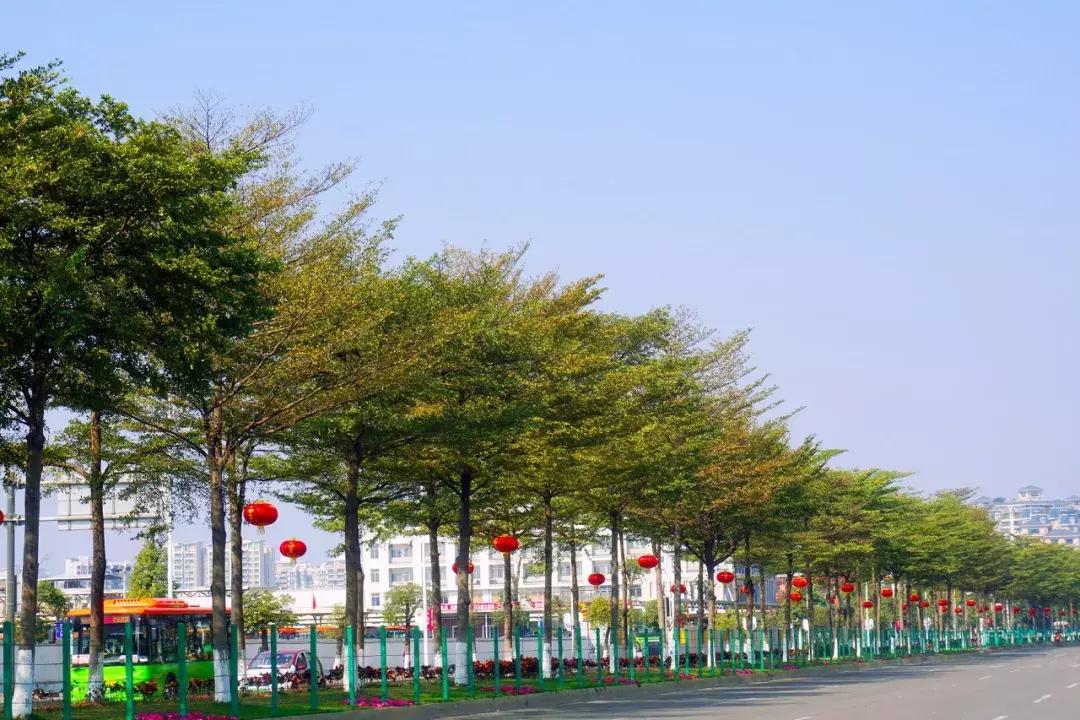 小年来啦，你家年货备齐了吗？小番走进番禺各大市场，收获满满的幸福……