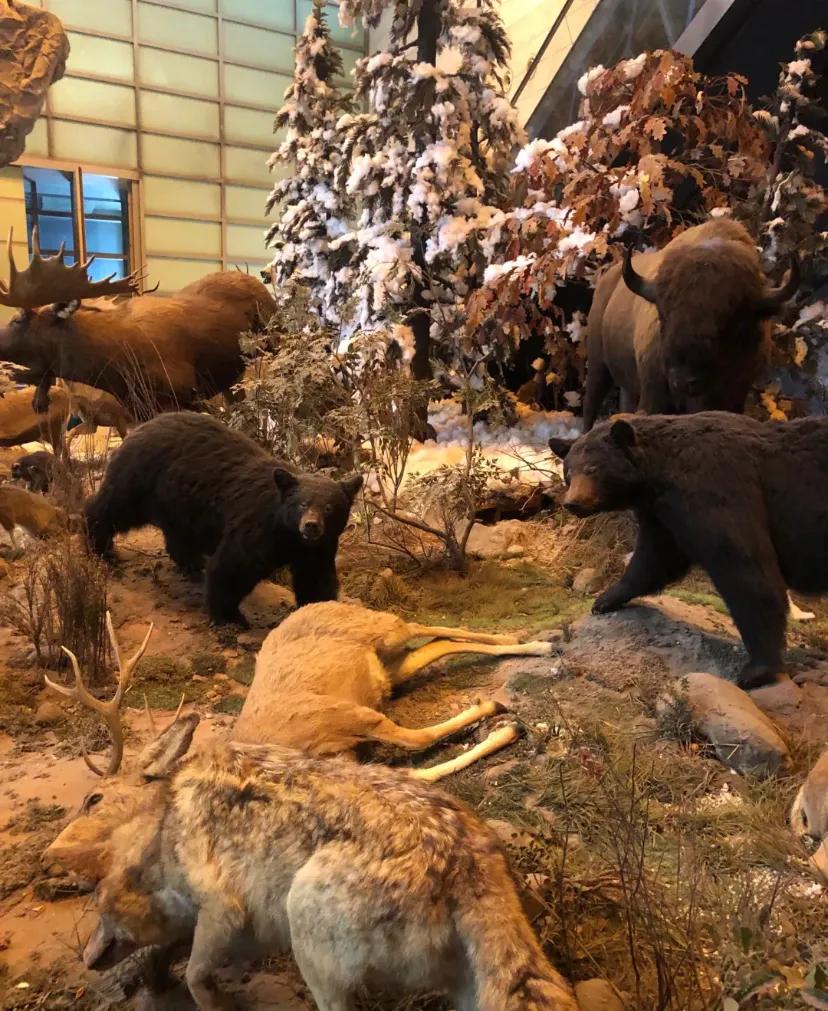 上海科技馆官网,上海科技馆球幕影院