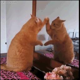 学会散打的技巧要多久,学会散打教程