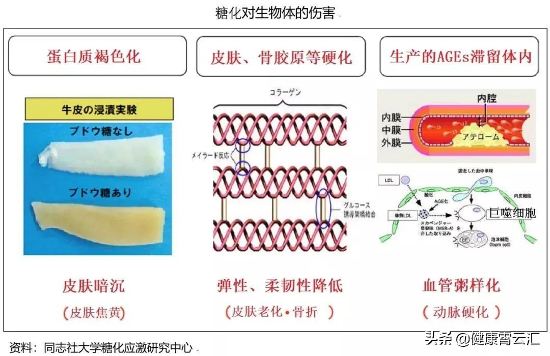 「原创」抗糖化催生抗衰老新蓝海，解读抗糖界冠军POLA