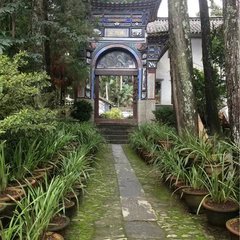 苍山的正确打开方式——做一日清闲山里人